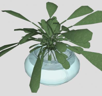 室内观叶盆栽sketchup模型下载_sketchup草图大师SKP模型