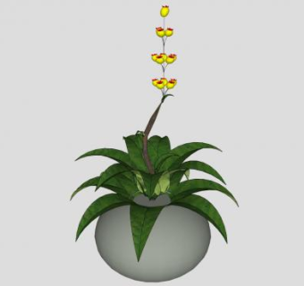 花盆盆栽sketchup模型下载_sketchup草图大师SKP模型