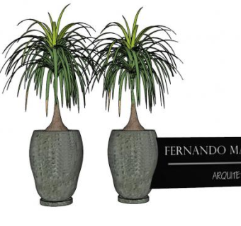 花钵观赏树盆栽SU模型下载_sketchup草图大师SKP模型