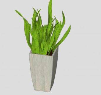 虎尾兰盆栽SU模型下载_sketchup草图大师SKP模型