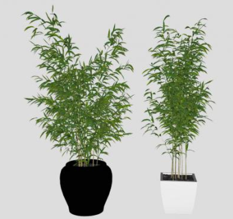 室外竹子盆栽SU模型下载_sketchup草图大师SKP模型