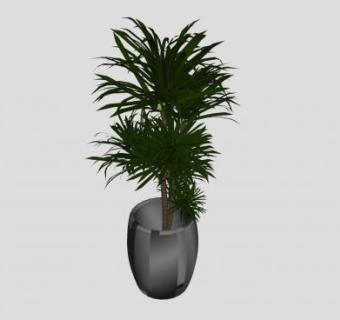 酒椰植物盆栽SU模型下载_sketchup草图大师SKP模型