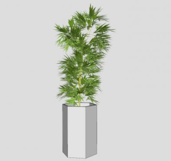 室内竹子盆栽SU模型下载_sketchup草图大师SKP模型
