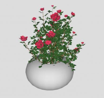 玫瑰灌木盆栽SU模型下载_sketchup草图大师SKP模型