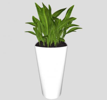 落地盆栽观叶植物SU模型下载_sketchup草图大师SKP模型