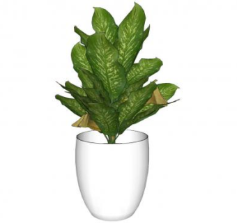 花叶万年青盆栽植物SU模型下载_sketchup草图大师SKP模型