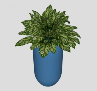 黛粉叶盆栽SU模型下载_sketchup草图大师SKP模型