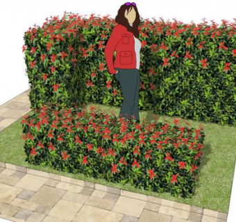 女贞su模型下载_sketchup草图大师SKP模型