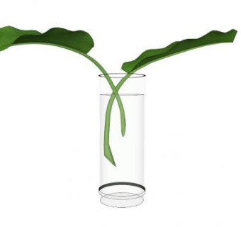 花瓶水绿叶摆件SU模型下载_sketchup草图大师SKP模型