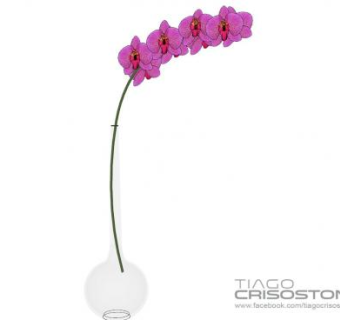 烧瓶花瓶蝴蝶兰花卉SU模型下载_sketchup草图大师SKP模型