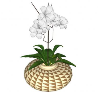 现代花瓶鲜花摆件SU模型下载_sketchup草图大师SKP模型