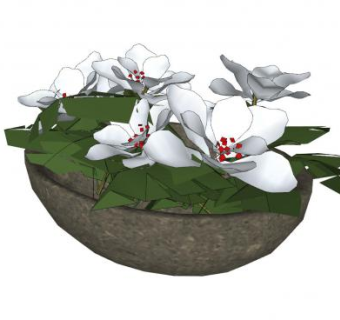 小型花盆盆栽SU模型下载_sketchup草图大师SKP模型