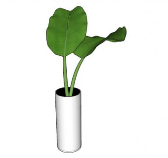 直筒花瓶植物SU模型下载_sketchup草图大师SKP模型