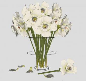 洋桔梗花瓶植物SU模型下载_sketchup草图大师SKP模型