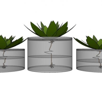 水培植物花盆SU模型下载_sketchup草图大师SKP模型