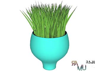 创意花盆观赏植物SU模型下载_sketchup草图大师SKP模型