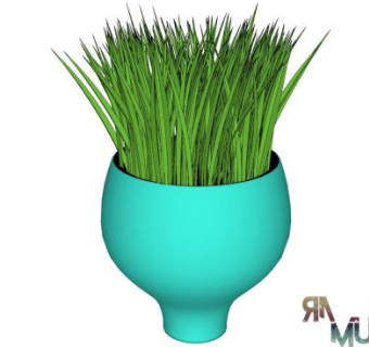创意花盆观赏植物SU模型下载_sketchup草图大师SKP模型