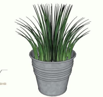 铁桶盆栽SU模型下载_sketchup草图大师SKP模型