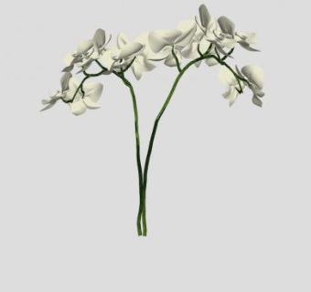 兰花花瓶SU模型下载_sketchup草图大师SKP模型