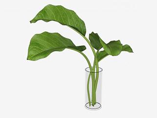<em>玻璃花瓶</em>叶子植物SU模型下载_sketchup草图大师SKP模型