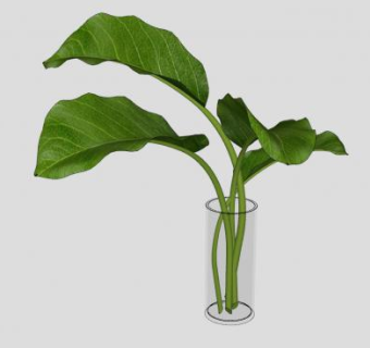 玻璃花瓶叶子植物SU模型下载_sketchup草图大师SKP模型