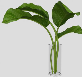 大叶子花瓶SU模型下载_sketchup草图大师SKP模型