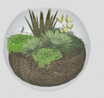 圆形花盆盆栽SU模型下载_sketchup草图大师SKP模型