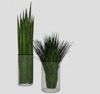 观赏花瓶植物SU模型下载_sketchup草图大师SKP模型