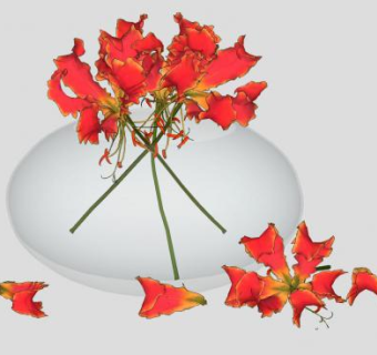 观赏鲜花花盆SU模型下载_sketchup草图大师SKP模型