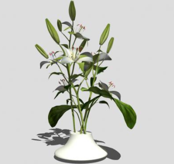 百合花花瓶sketchup模型下载_sketchup草图大师SKP模型