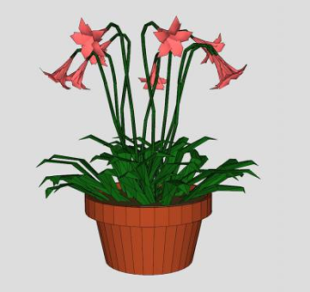 朱顶红室内盆栽SU模型下载_sketchup草图大师SKP模型