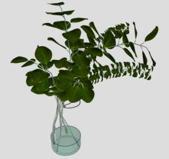 盛水花瓶观赏植物SU模型下载_sketchup草图大师SKP模型