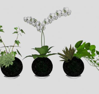 黑色花盆观赏盆栽SU模型下载_sketchup草图大师SKP模型