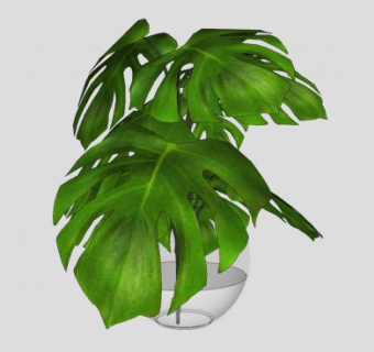 龟背竹叶花瓶SU模型下载_sketchup草图大师SKP模型