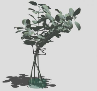 桉树树枝花瓶摆件SU模型下载_sketchup草图大师SKP模型