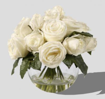 白玫瑰盛水花瓶SU模型下载_sketchup草图大师SKP模型