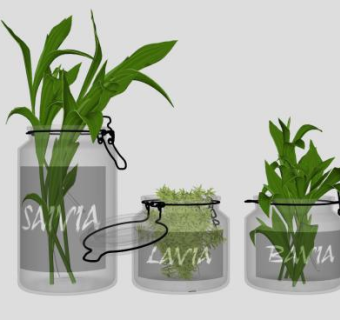 观赏植物花瓶装饰品SU模型下载_sketchup草图大师SKP模型