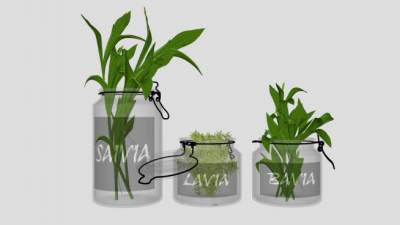 观赏植物花瓶装饰品SU模型下载_sketchup草图大师SKP模型