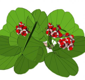 种子su模型下载_sketchup草图大师SKP模型