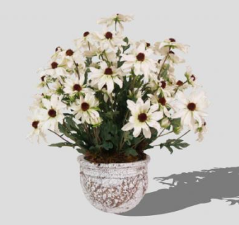 雏菊花束花瓶SU模型下载_sketchup草图大师SKP模型