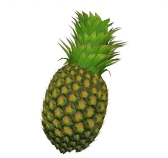 菠萝su模型下载_sketchup草图大师SKP模型