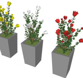 三色玫瑰灌木盆栽SU模型下载_sketchup草图大师SKP模型