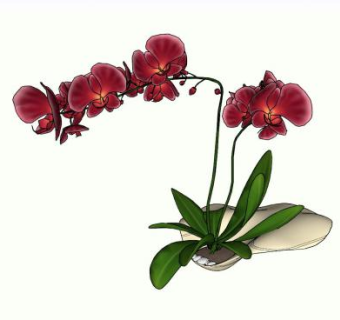 创意盆栽蝴蝶兰SU模型下载_sketchup草图大师SKP模型