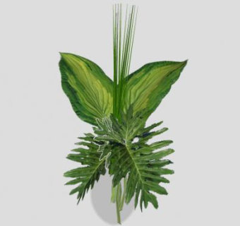 观赏叶花瓶SU模型下载_sketchup草图大师SKP模型