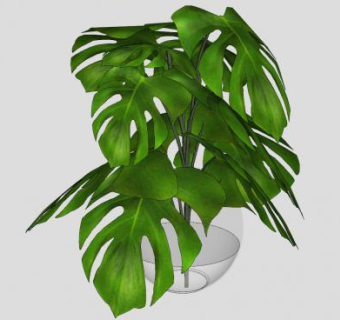 龟背竹花瓶SU模型下载_sketchup草图大师SKP模型