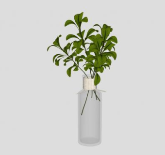 观赏叶玻璃花瓶SU模型下载_sketchup草图大师SKP模型
