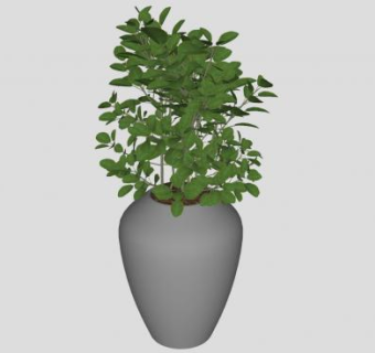 陶艺花瓶盆栽植物SU模型下载_sketchup草图大师SKP模型