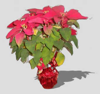 圣诞红观赏花瓶SU模型下载_sketchup草图大师SKP模型