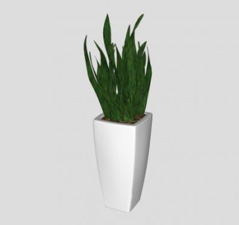 观赏草本盆栽SU模型下载_sketchup草图大师SKP模型