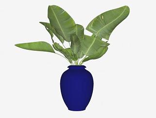 蓝色花瓶观叶植物SU模型下载_sketchup草图大师SKP模型